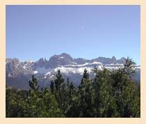 Rosengarten
