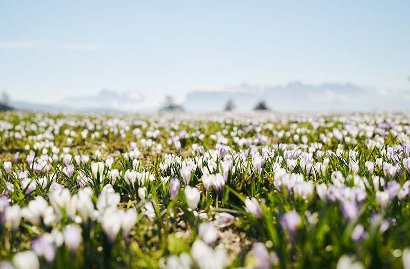 Erlebnistage im Spätwinter