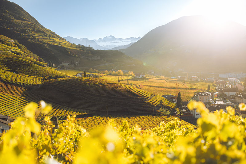 Bolzano