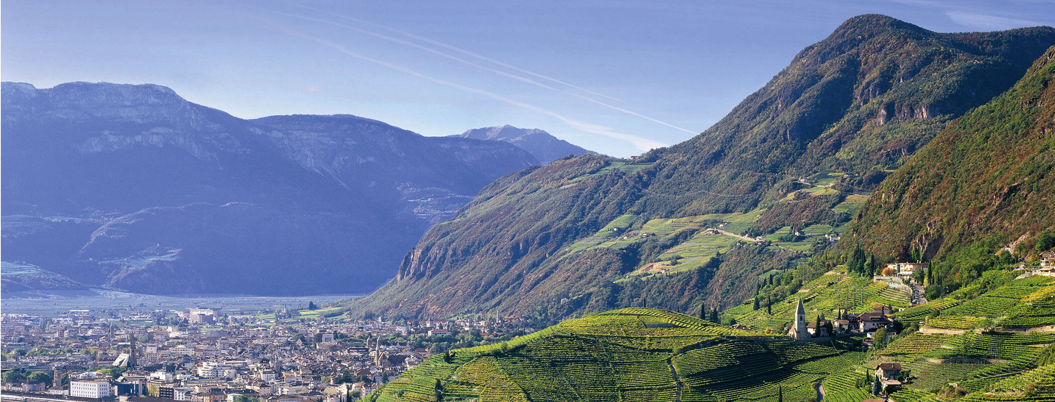 Vineyard-covered hills and a town nestled in a valley with mountains in the background under a blue sky. - Hotel Zur Sonne