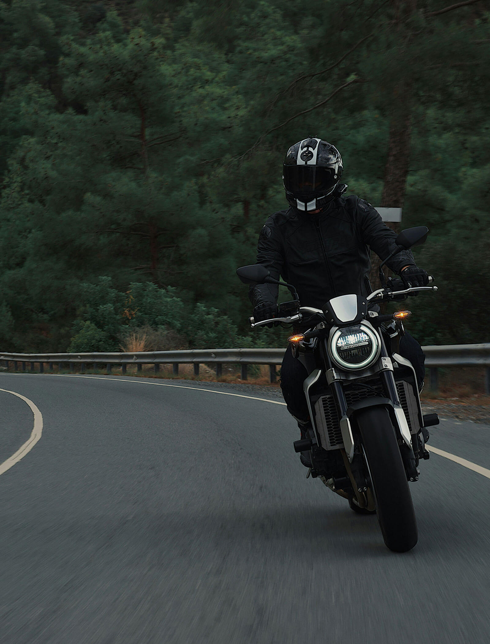 A motorcyclist in black gear rides a motorcycle on a curving road by a forested area. - Hotel Zur Sonne