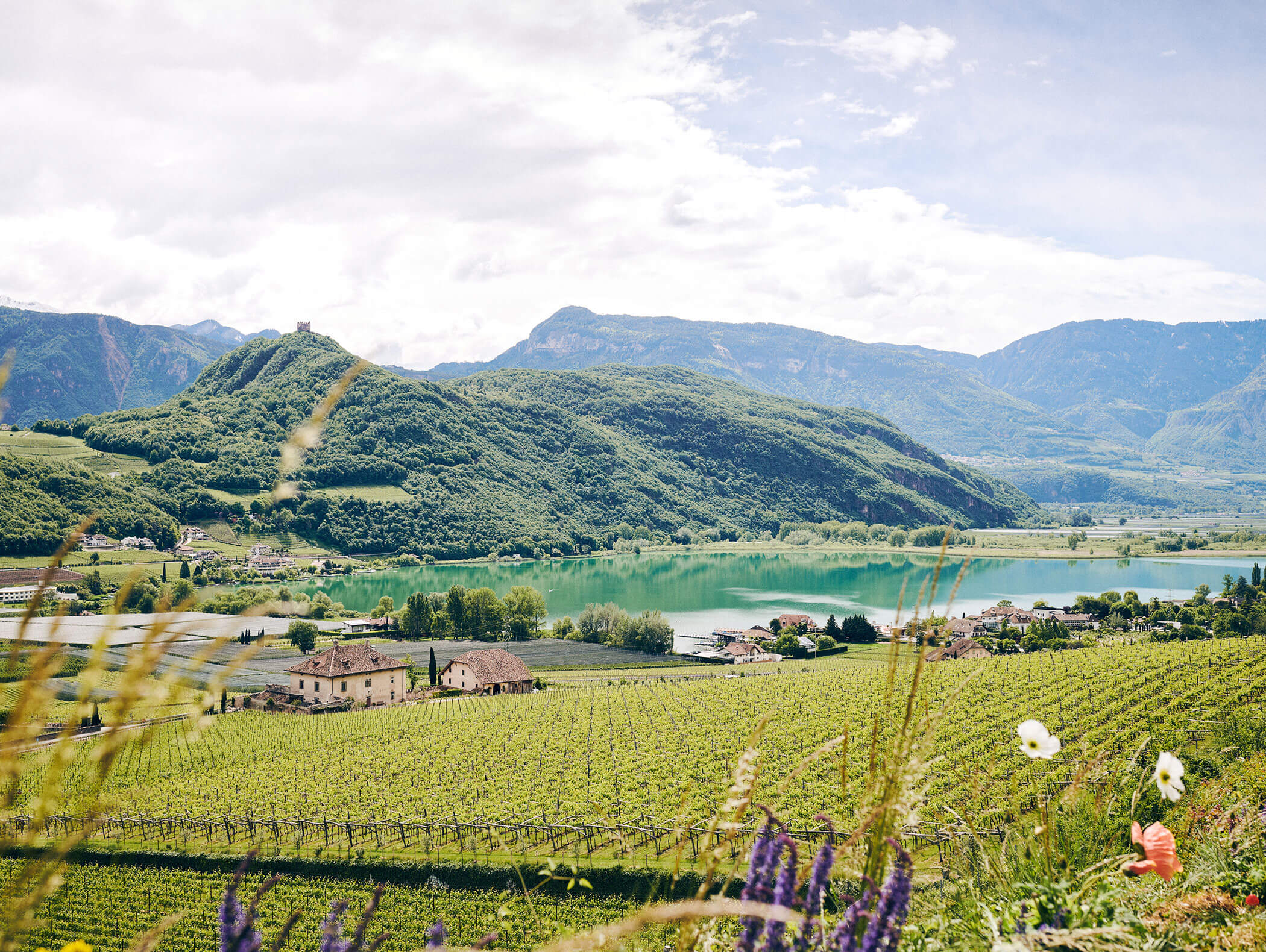 Vineyards stretch toward a green lake, with hills, houses, and mountains under a partly cloudy sky. - Hotel Zur Sonne