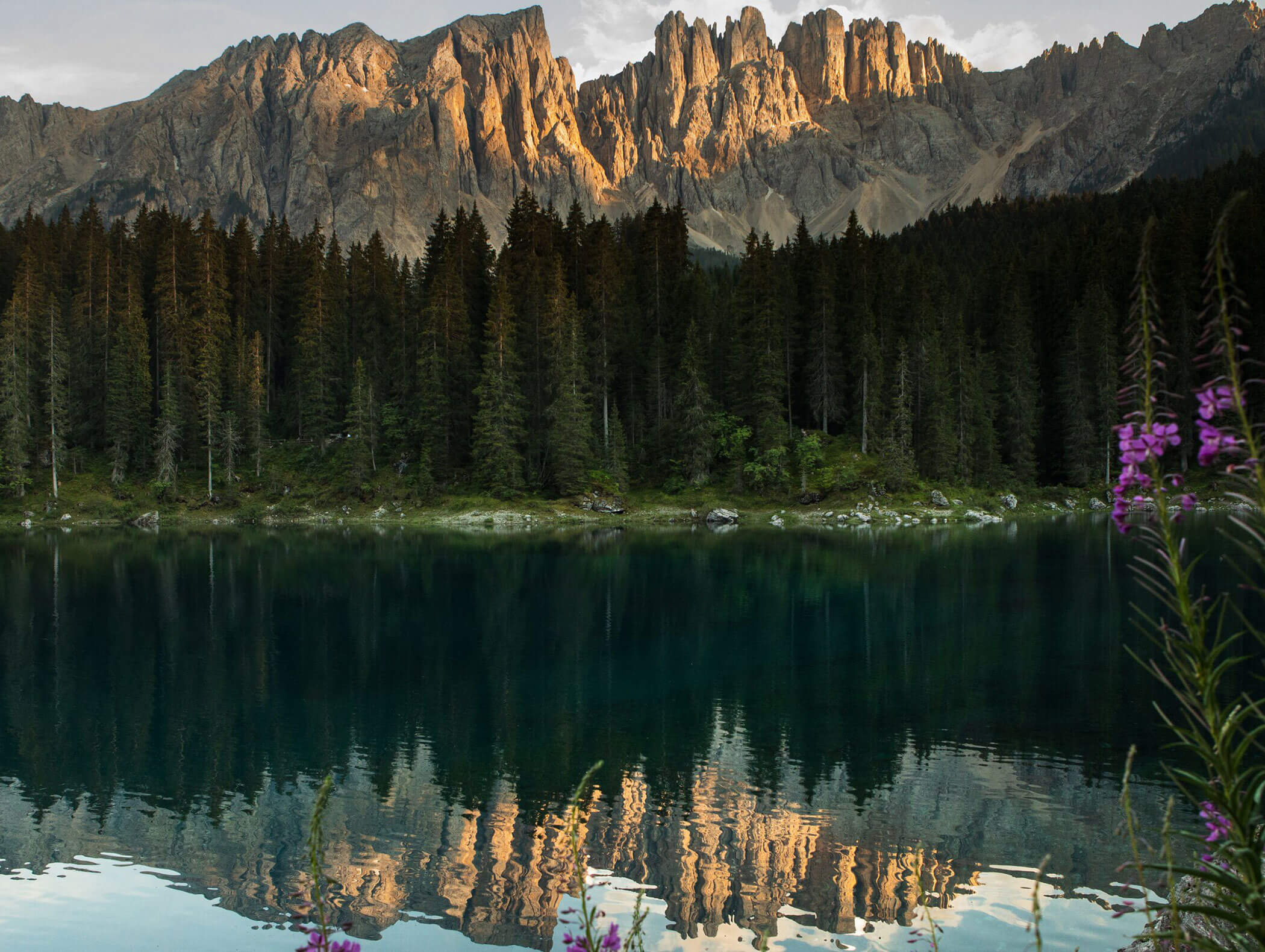 Jagged mountains and pine trees reflect in a calm lake, with purple flowers in the foreground. - Hotel Zur Sonne